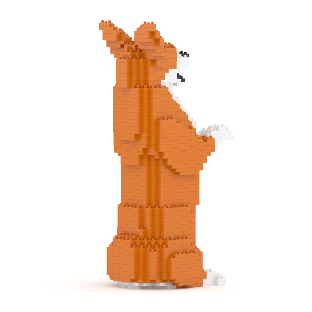Welsh Corgi 05-M01