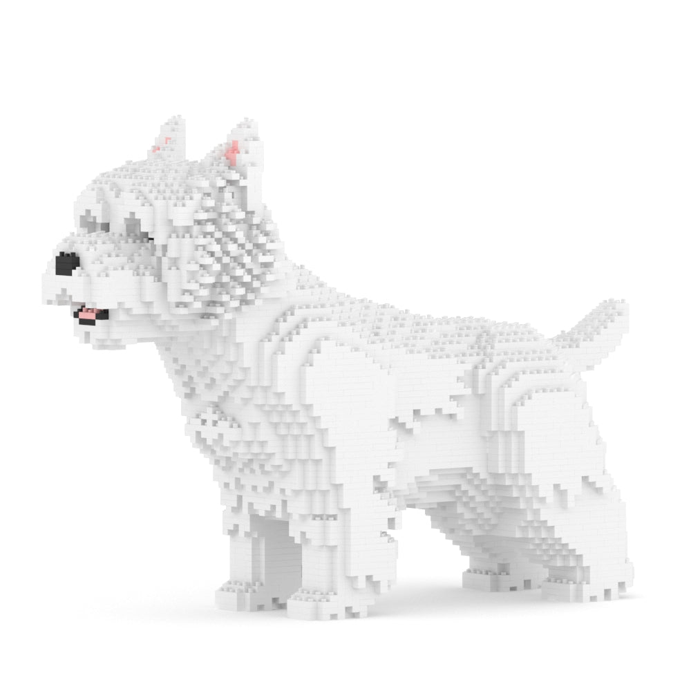 West Highland White Terrier 02