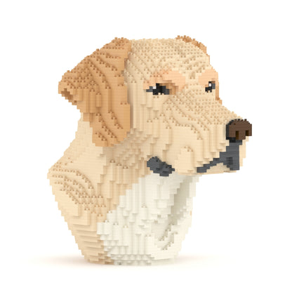 Labrador Bust 01